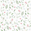 Image Not Available